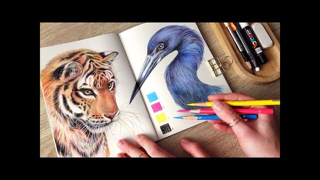 drawing wild animals with only 4 colored pencils - no music 🌙