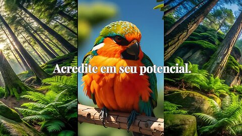 Acredite em seu potencial.