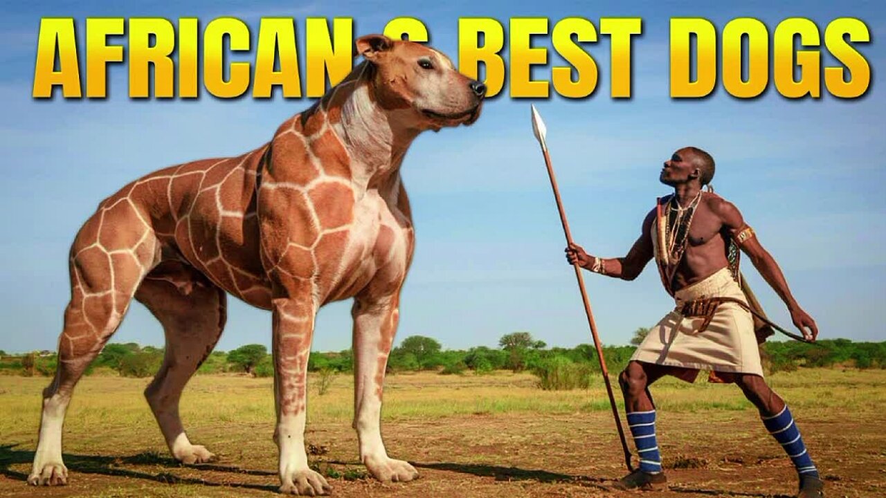 Top 10 African Dog Breeds You Won't Believe Are REAL!