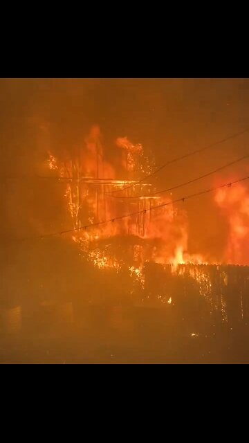 OMG Houses Are Burning in Palisades, California