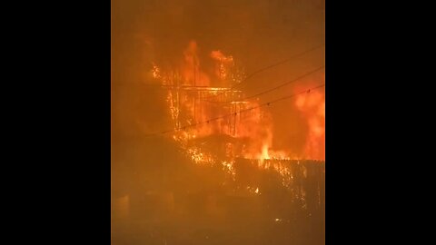 OMG Houses Are Burning in Palisades, California