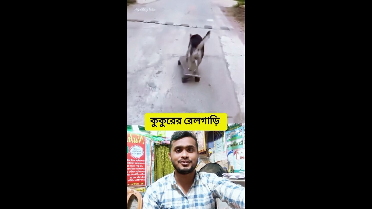 কুকুরের রেলগাড়ি #shorts #viral #funny #amazing #dog