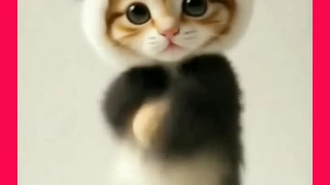 Funnycat