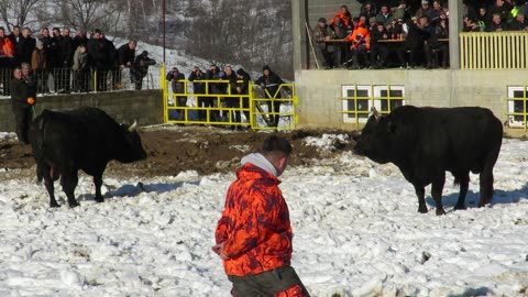 Garci koalicija Bjelajce vs Roko od Jukića Hrustovo 2024