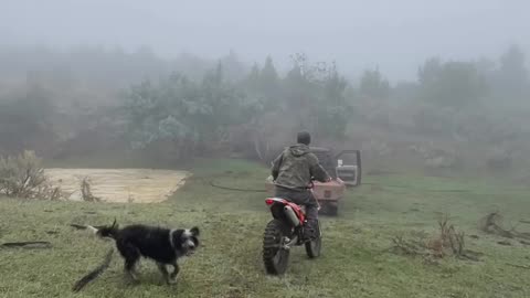 Motorcycles work on the Ranch too! cartercountrymeats.com