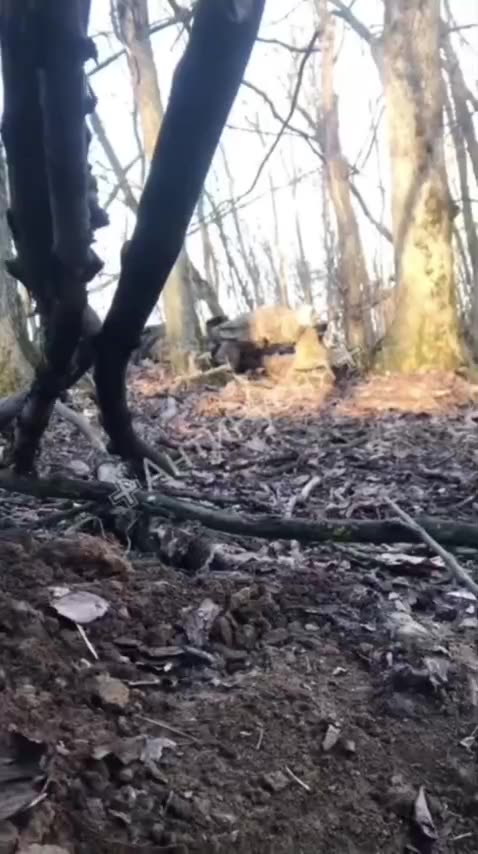 Many Surrender in the Aftermath of Ukrainian Assault on Russian Positions in Kursk