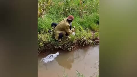 Very funny and silly videos