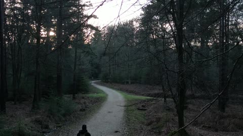 Hampshire Deer Sanctuary, UK