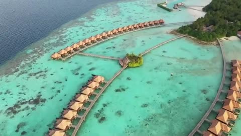 Maldives | South Asia | Travel Guide | Tour | No Copyright Video | Stock Footage
