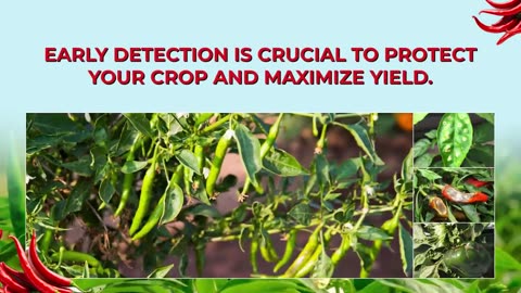 Uncover the Secrets of Best Pesticides in India | NACL Industries