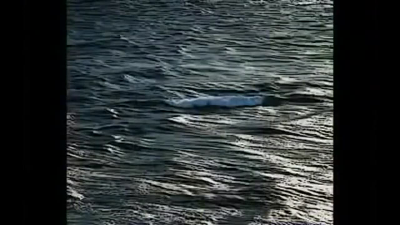 Who Brought Slaves To America? By Walter White Jr