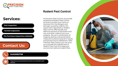 Expert Rodent Pest Control Services in Adelaide by Precision Pest Control