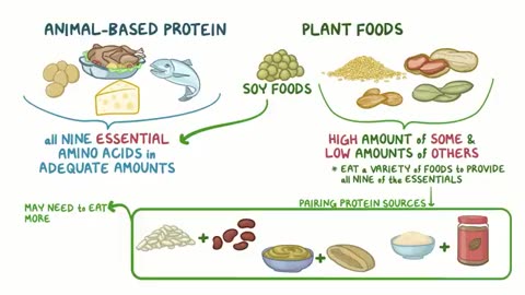 Proteins