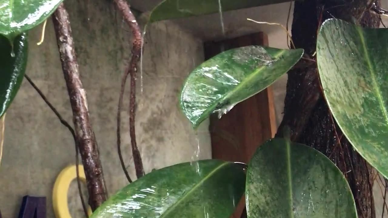 rain time 3