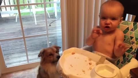 🤣Funny Baby Animal Video Kids Video Animals Videos