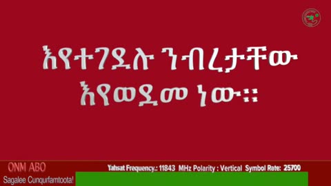 ጥር 16-2025 ONM-ABO የአምባገነኑ አብይ አህመድን ዙፋን ለመጠበቅ ሰዎች በቤታቸው እየተገደሉ ንብረታቸው እየወደመ ነው።