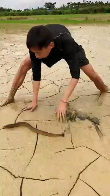 animals gangal fishin