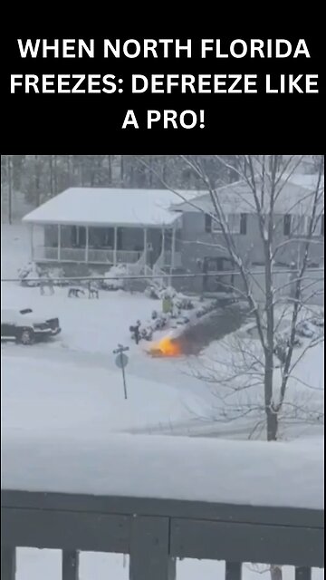 Top Defreeze Expert Shares Winter Survival Secrets for North Florida! #shorts #rumble