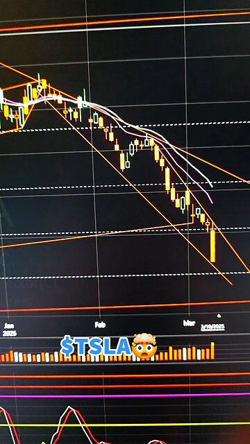 $TSLA🤯