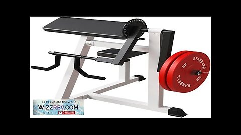 GMWD Bicep Tricep Curl Machine 250LBS Plate Loaded Bicep Curls and Tricep Review