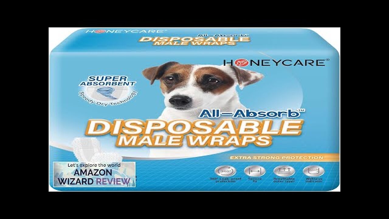 All-Absorb A26 Male Dog Wrap 50 Count Small Review