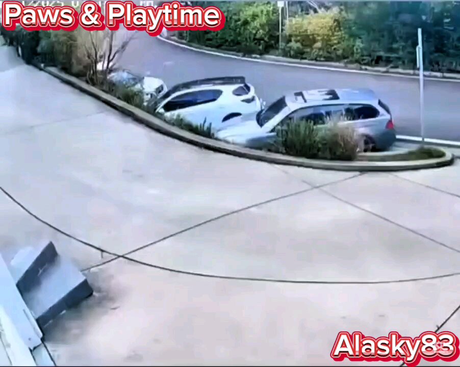 LOOK AT THE MISTAKE THIS DRIVER MAKES WHEN BACKING UP HIS CAR😱😱😱😱