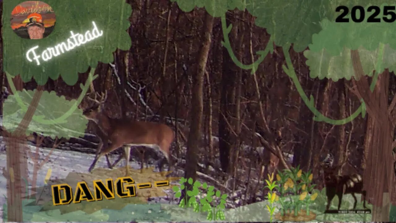 Trail Camera 7 Middle Trail Should we move it or trash it White Tail Deer