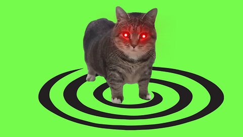 🔴 OR3H1N & DJ Troll - OiiA OiiA (Spinning Cat) Hard Techno, Schranz Remix [𝗙𝗥𝗘𝗘 𝗗𝗢𝗪𝗡𝗟𝗢𝗔𝗗] 2025