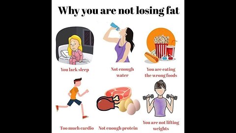 Why you are not losing fat