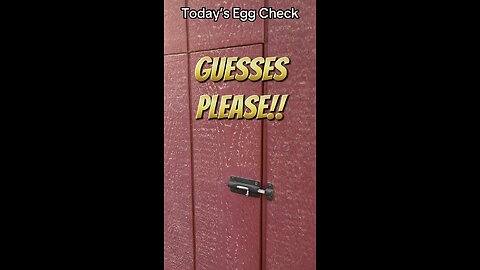 Today’s #Egg Check!