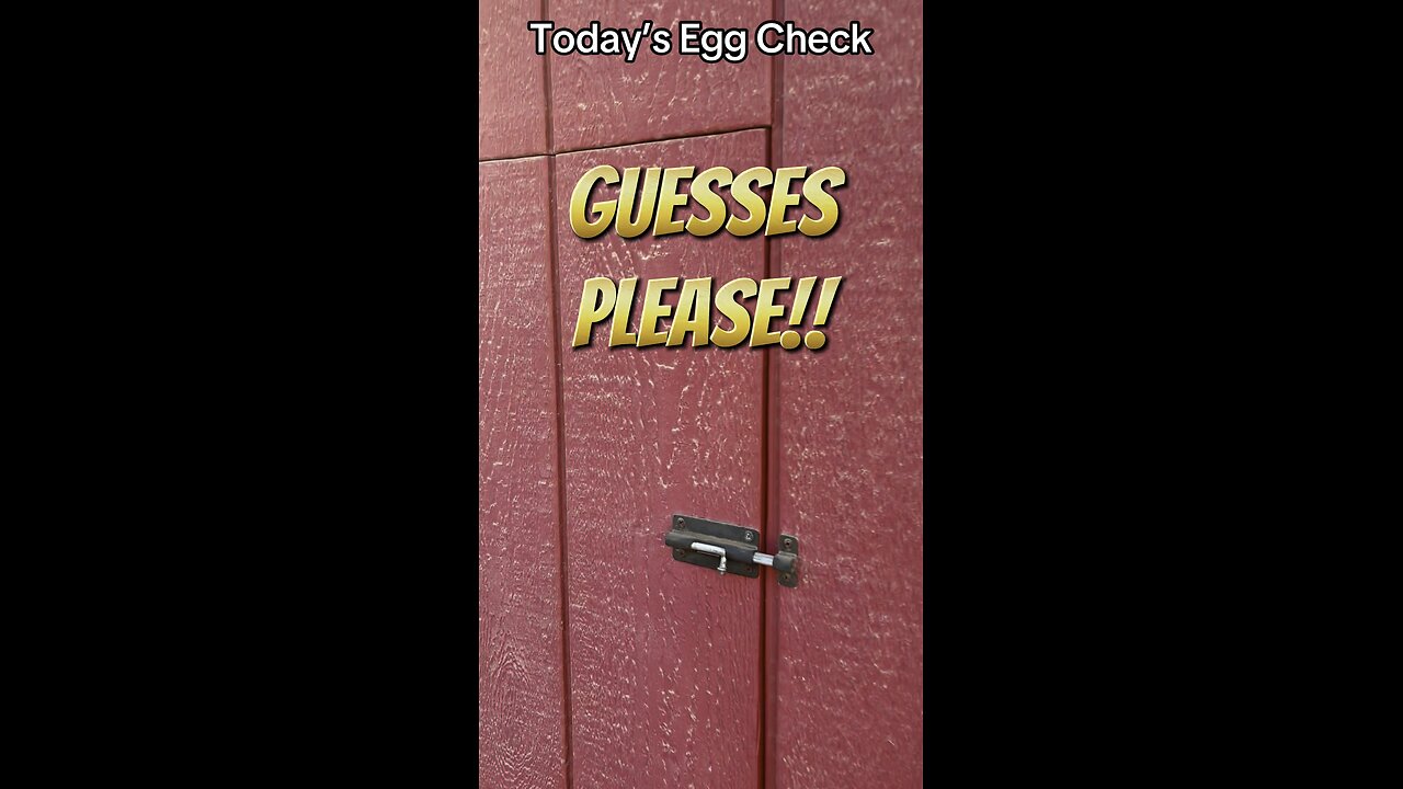 Today’s #Egg Check!