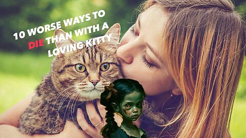 10 WORSE WAYS TO DIE THAN WITH A LOVING KITTY