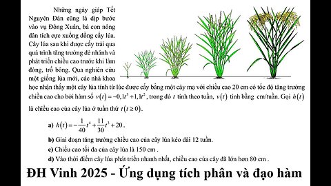 ĐH Vinh 2025: Những ngày giáp Tết Nguyên Đán cũng là dịp bước vào vụ Đông Xuân, bà con nông