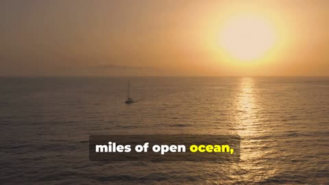 Epic Journeys of Ancient Polynesian Navigators