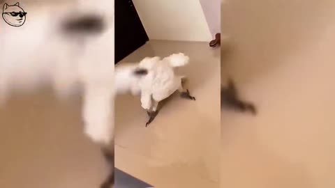 😂😂😍