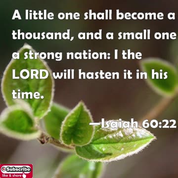 Prayer of God's Timing #youtubeshorts #grace #jesus #mercy #faith #fyp #trust #joy #blessed #timing