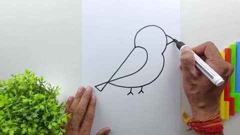 How To Draw A Bird