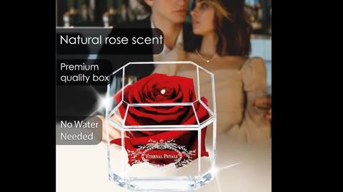 Eternal Real Rose with White Gold - A Gift That Lasts for Years