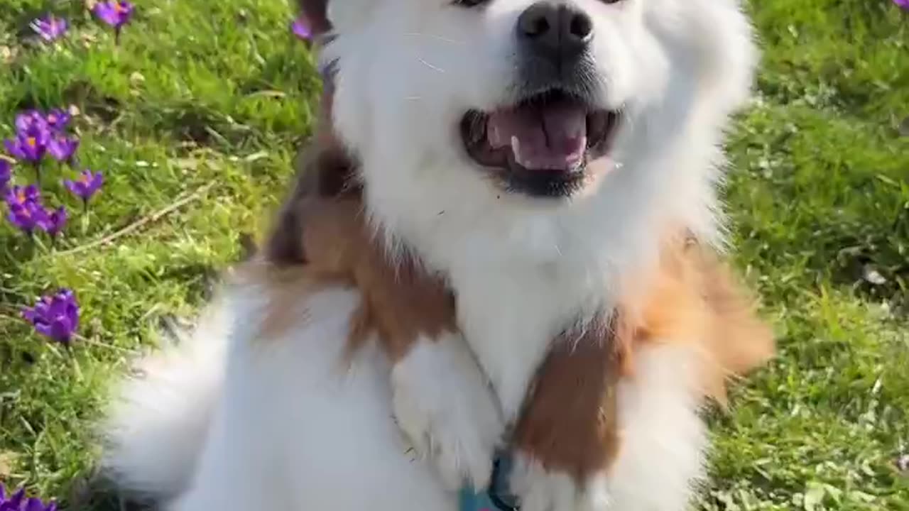 Sunshine and hugs 🥰