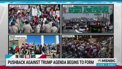 Maddow: Impromptu Protests Erupt Nationwide Against Trump, Musk, Destruction Of Fed Gov, Immigration