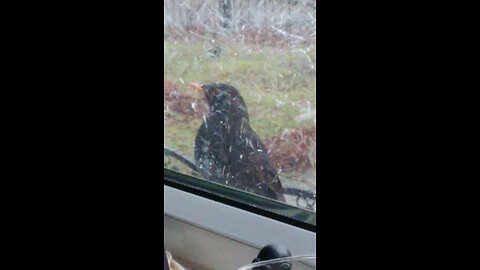 You are not coming in Dave!