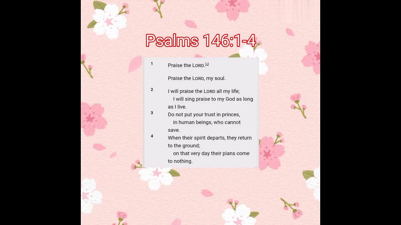 Psalms 146:1-4