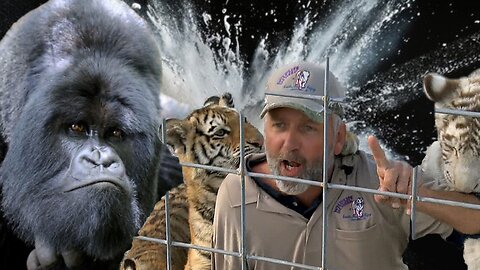 Tiger Kings & Gorilla T*ts || THE POWDERED DUSTY LIVE ||