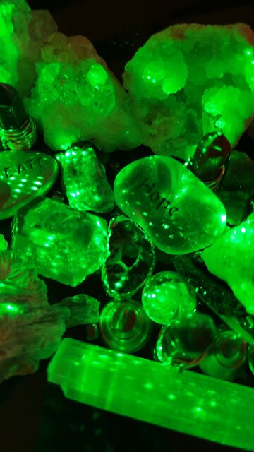 Dose up dude WHAT IN THE LITERAL FUCK dumpster fire