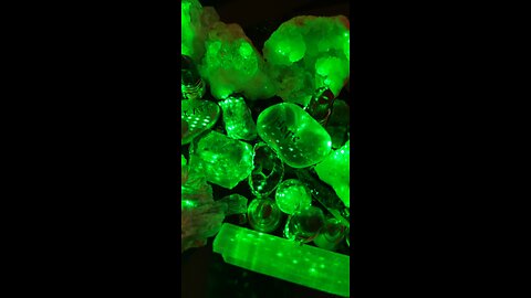 Dose up dude WHAT IN THE LITERAL FUCK dumpster fire