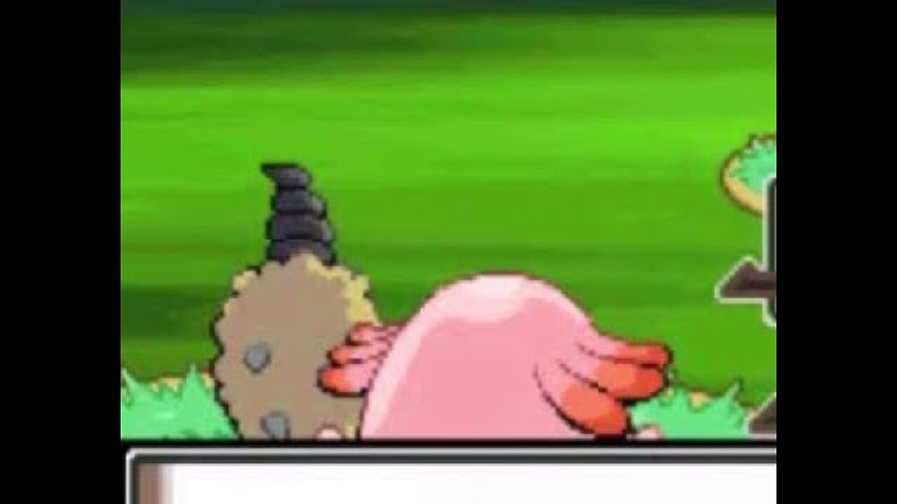 Specializing in Grass type Pokémon, Platinum Paythrough 1.8