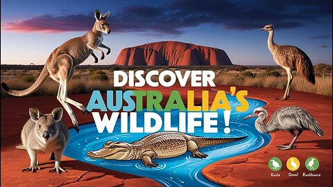 Wild Australia: Meet the Planet’s Most Unique Animals