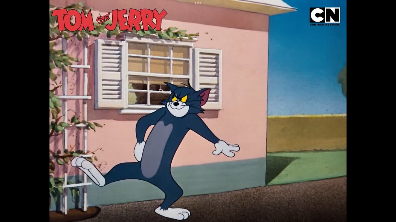 tom and jerry,fun