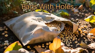 Bags With Holes