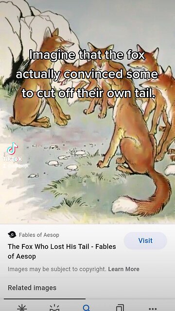 Fox Who Lost His Tail in real life